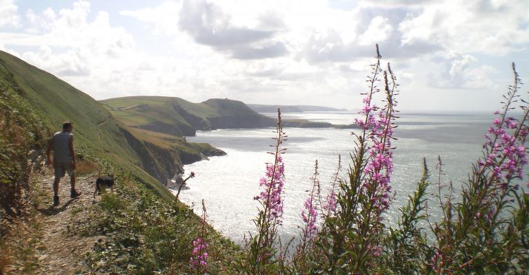 Explore the Stunning Ceredigion Coastal Path